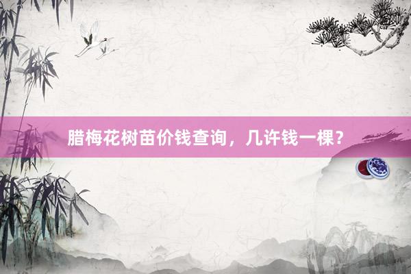 腊梅花树苗价钱查询，几许钱一棵？