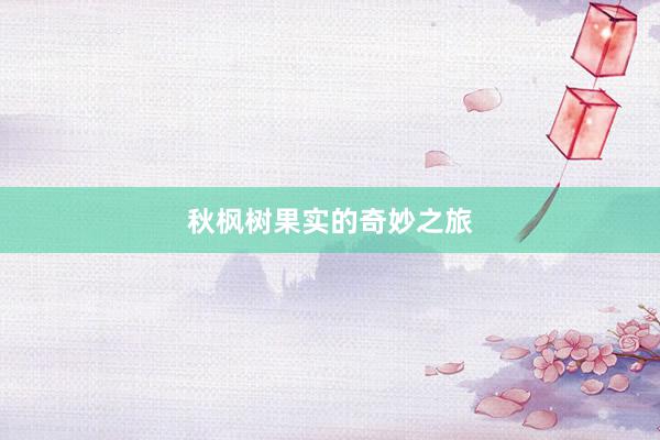 秋枫树果实的奇妙之旅